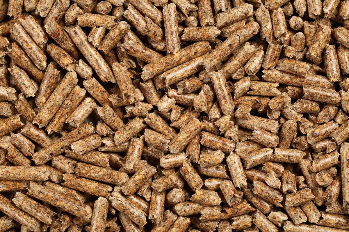 Wood pellets background produced from pine wood sawdust and shavings, used as environmentally friendy heating biofuel and cat litter